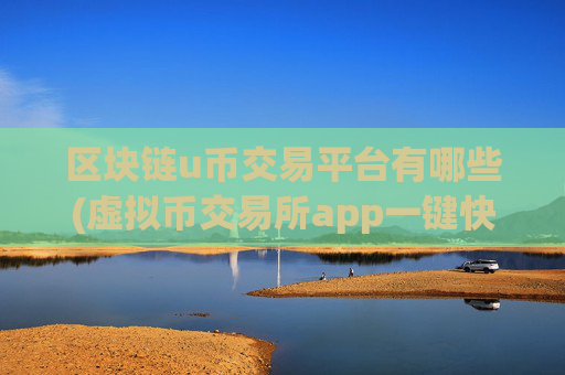 区块链u币交易平台有哪些(虚拟币交易所app一键快速交易)