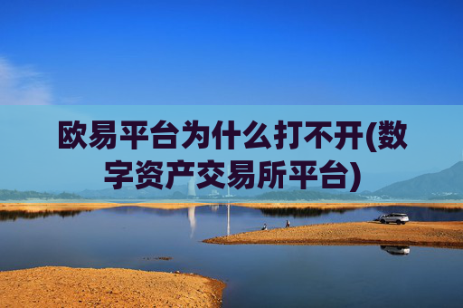 欧易平台为什么打不开(数字资产交易所平台)