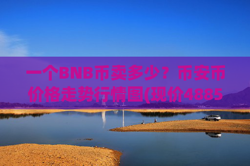 一个BNB币卖多少?币安币价格走势行情图(现价4885.05元)