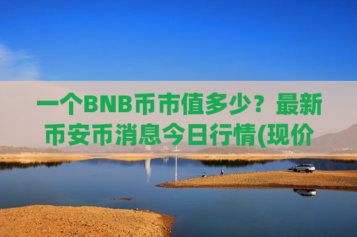 一个BNB币市值多少?最新币安币消息今日行情(现价4859.59元)