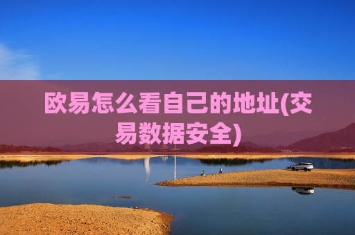 欧易怎么看自己的地址(交易数据安全)