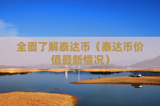 全面了解泰达币(泰达币价值最新情况)