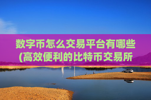 数字币怎么交易平台有哪些(高效便利的比特币交易所)