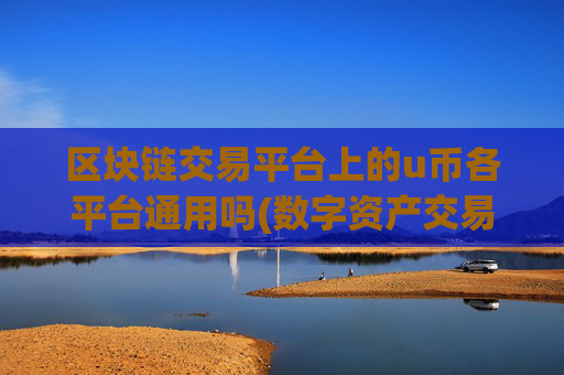 区块链交易平台上的u币各平台通用吗(数字资产交易平台全面分析)