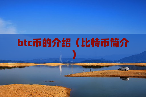btc币的介绍(比特币简介)