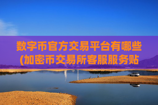 数字币官方交易平台有哪些(加密币交易所客服服务贴心)