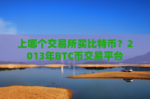 上哪个交易所买比特币？2013年BTC币交易平台