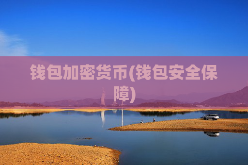钱包加密货币(钱包安全保障)