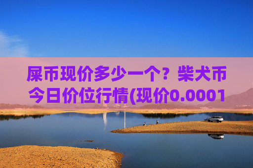屎币现价多少一个?柴犬币今日价位行情(现价0.00015691元)