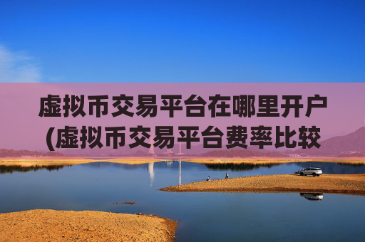 虚拟币交易平台在哪里开户(虚拟币交易平台费率比较)