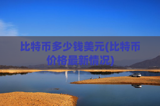 比特币多少钱美元(比特币价格最新情况)