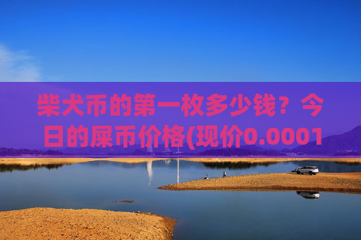 柴犬币的第一枚多少钱？今日的屎币价格(现价0.00016048元)