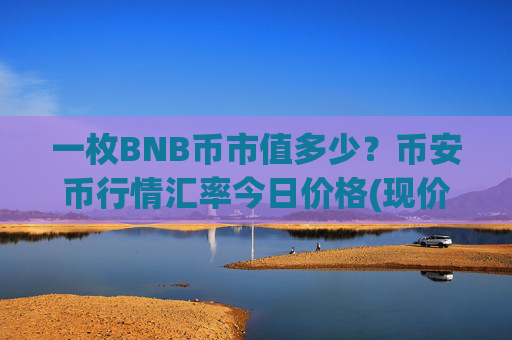 一枚BNB币市值多少?币安币行情汇率今日价格(现价4910.72元)