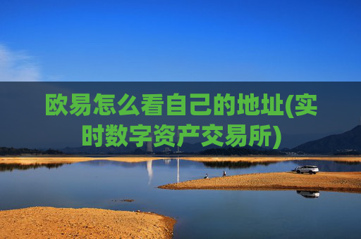 欧易怎么看自己的地址(实时数字资产交易所)
