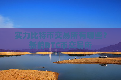 实力比特币交易所有哪些?新的BTC币交易所