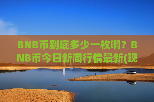 BNB币到底多少一枚啊?BNB币今日新闻行情最新(现价4828.22元)