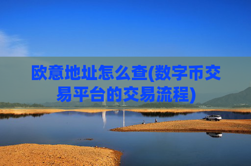 欧意地址怎么查(数字币交易平台的交易流程)
