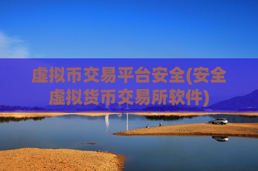 虚拟币交易平台安全(安全虚拟货币交易所软件)