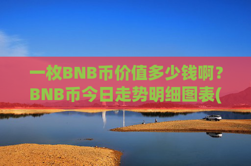 一枚BNB币价值多少钱啊？BNB币今日走势明细图表(现价4815.54元)