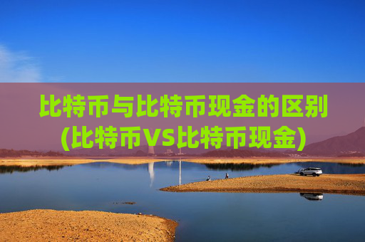 比特币与比特币现金的区别(比特币VS比特币现金)