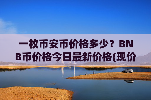 一枚币安币价格多少?BNB币价格今日最新价格(现价4845.07元)