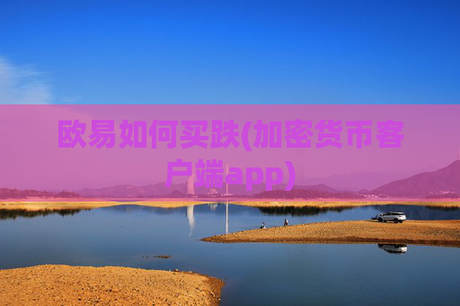 欧易如何买跌(加密货币客户端app)