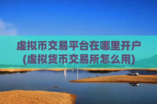 虚拟币交易平台在哪里开户(虚拟货币交易所怎么用)