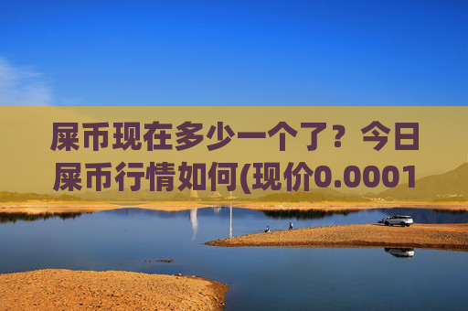 屎币现在多少一个了?今日屎币行情如何(现价0.00015953元)