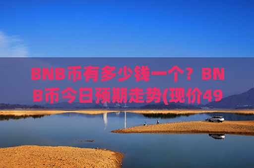 BNB币有多少钱一个?BNB币今日预期走势(现价4915.17元)