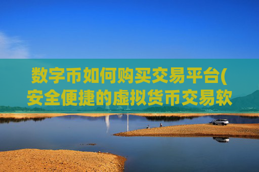 数字币如何购买交易平台(安全便捷的虚拟货币交易软件)