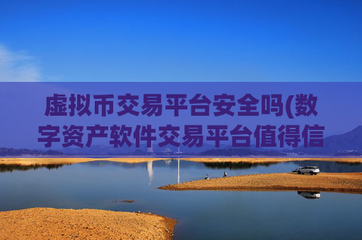 虚拟币交易平台安全吗(数字资产软件交易平台值得信赖)