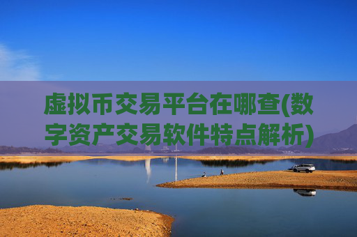 虚拟币交易平台在哪查(数字资产交易软件特点解析)