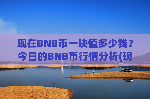 现在BNB币一块值多少钱?今日的BNB币行情分析(现价4993.72元)