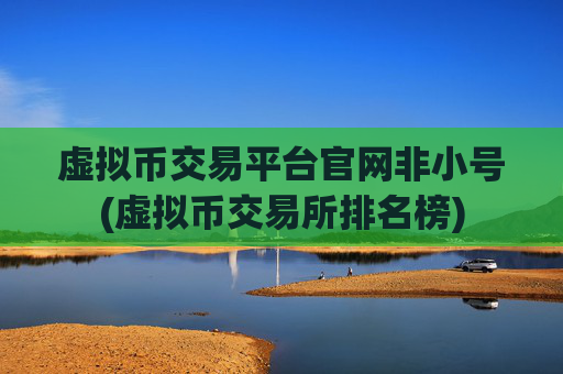 虚拟币交易平台官网非小号(虚拟币交易所排名榜)