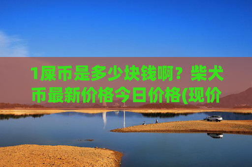 1屎币是多少块钱啊?柴犬币最新价格今日价格(现价0.00016966元)