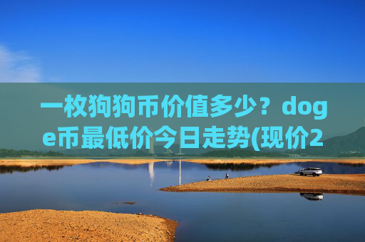 一枚狗狗币价值多少？doge币最低价今日走势(现价2.5519元)