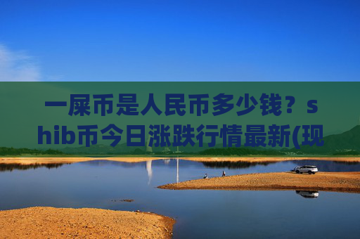 一屎币是人民币多少钱？shib币今日涨跌行情最新(现价0.00017165元)