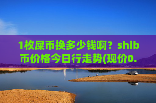 1枚屎币换多少钱啊？shib币价格今日行走势(现价0.00017289元)