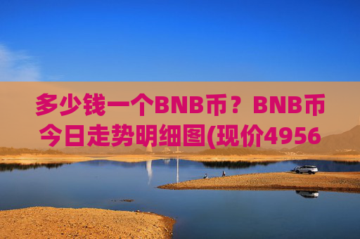 多少钱一个BNB币?BNB币今日走势明细图(现价4956.38元)