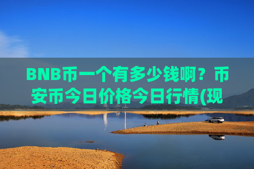BNB币一个有多少钱啊?币安币今日价格今日行情(现价5040.99元)