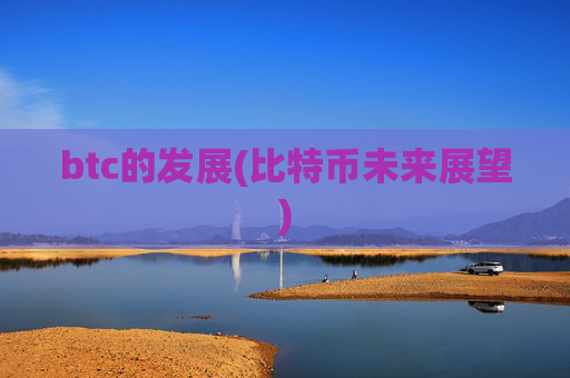 btc的发展(比特币未来展望)