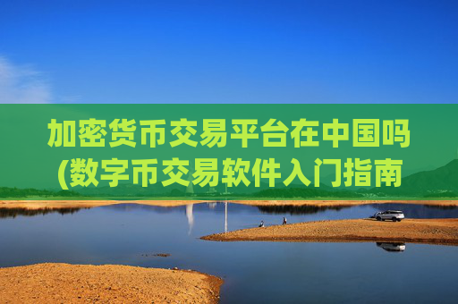 加密货币交易平台在中国吗(数字币交易软件入门指南)