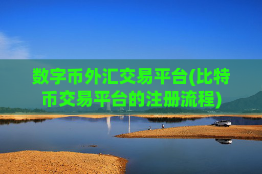 数字币外汇交易平台(比特币交易平台的注册流程)