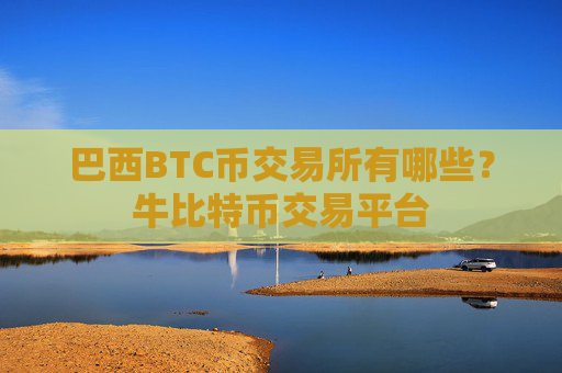 巴西BTC币交易所有哪些?牛比特币交易平台