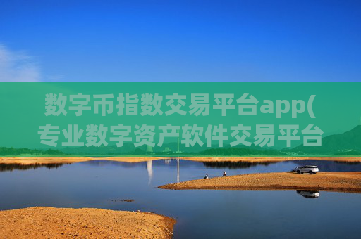 数字币指数交易平台app(专业数字资产软件交易平台)