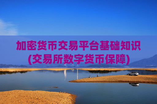 加密货币交易平台基础知识(交易所数字货币保障)