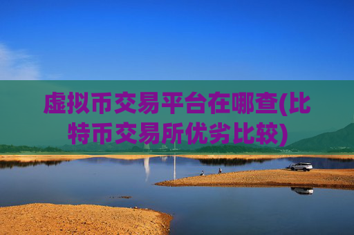 虚拟币交易平台在哪查(比特币交易所优劣比较)