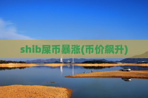 shib屎币暴涨(币价飙升)