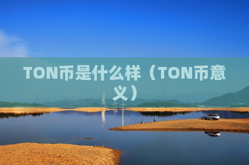 TON币是什么样（TON币意义）