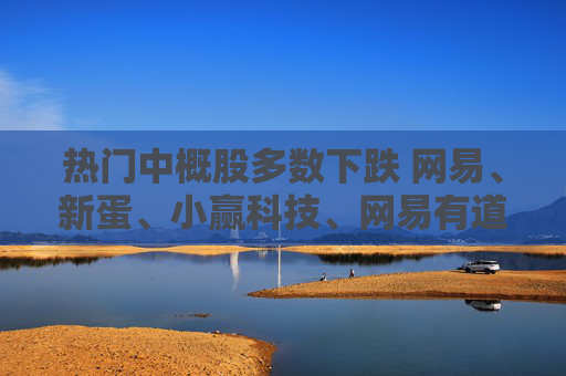 热门中概股多数下跌 网易、新蛋、小赢科技、网易有道跌超4%